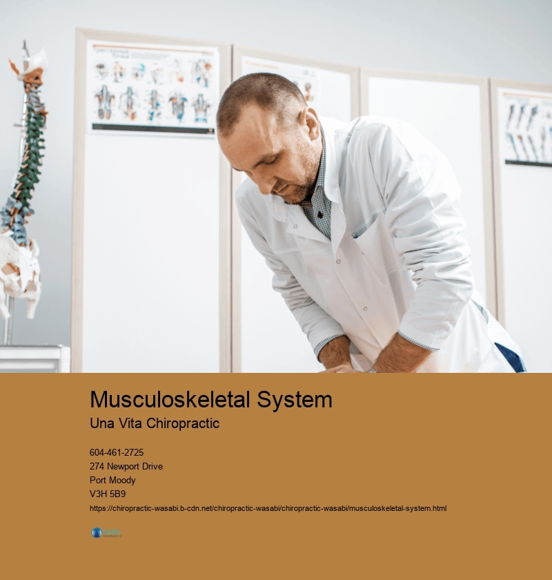 Musculoskeletal System